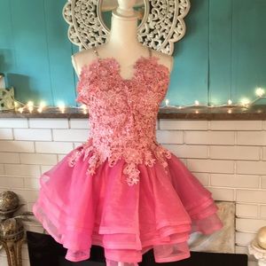 Pink custom cocktail dress. Added crystal straps, and crystals to lace bodice.